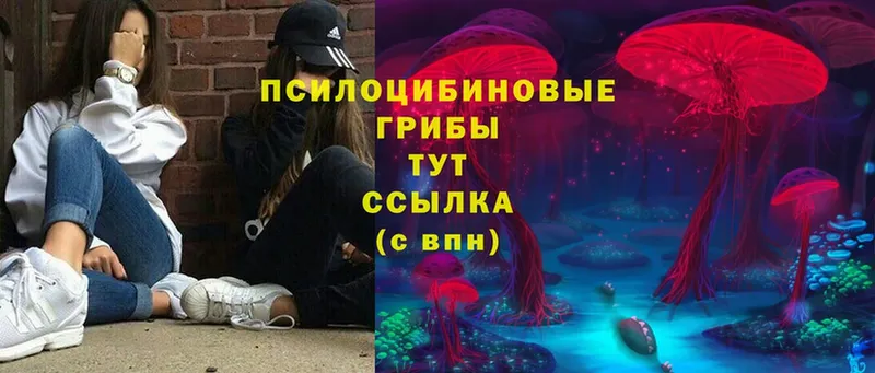 ссылка на мегу онион  Багратионовск  Псилоцибиновые грибы Psilocybe 